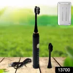 Adult Waterproof Electric Toothbrush USB Charging